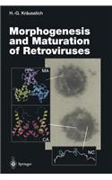 Morphogenesis and Maturation of Retroviruses