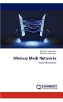 Wireless Mesh Networks