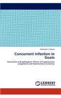 Concurrent Infection in Goats