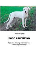 Dogo Argentino
