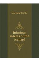 Injurious Insects of the Orchard