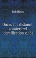 Ducks at a distance: a waterfowl identification guide