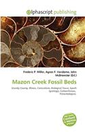 Mazon Creek Fossil Beds