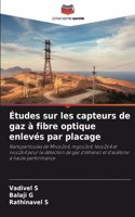 Études sur les capteurs de gaz à fibre optique enlevés par placage
