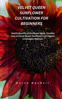 Velvet Queen Sunflower Cultivation for Beginners