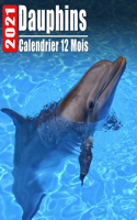 Calendrier 2021 Dauphins