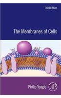 Membranes of Cells