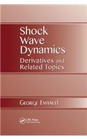Shock Wave Dynamics