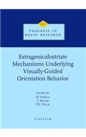 Extrageniculostriate Mechanisms Underlying Visually-Guided Orientation Behavior