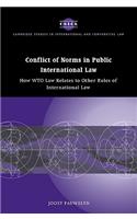 Conflict of Norms in Public International Law