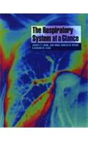 The Respiratory System at a Glance