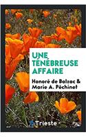 Une Ténébreuse Affaire