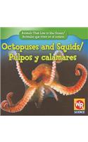 Octopuses and Squids / Pulpos Y Calamares