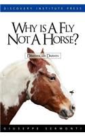 Why is a Fly Not a Horse?