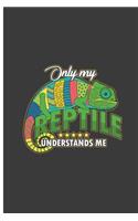 Only My Reptile Understands Me: Understanding Reptile Perfect Lined Notebook/Journal (6x9)