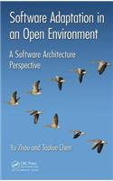 Software Adaptation in an Open Environment: A Software Architecture Perspective
