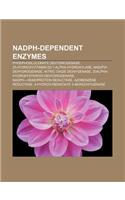 Nadph-Dependent Enzymes: Phosphogluconate Dehydrogenase, 25-Hydroxyvitamin D3 1-Alpha-Hydroxylase, Nad(p)H Dehydrogenase(English)