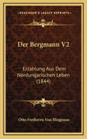 Der Bergmann V2