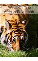 Wildlife in the African Savannah 2018