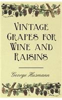 Vintage Grapes for Wine and Raisins