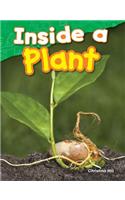 Inside a Plant: (Science Readers: Content and Literacy)