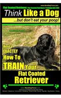 Flat Coated Retriever, Flat Coated Retriever Training AAA AKC - Think Like a Dog But Don't Eat Your Poop! - Flat Coated Retriever Breed Expert Training -