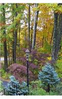 Journal Pretty Landscaping Autumn: (Notebook, Diary, Blank Book)(Seasonal Fall Photo Journals Notebooks Diaries)