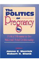 Politics of Pregnancy