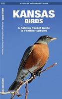 Kansas Birds: A Folding Pocket Guide to Familiar Species