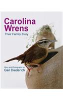 Carolina Wrens