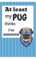 At least my Pug thinks I'm awesome
