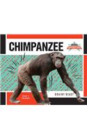 Chimpanzee: Brainy Beast