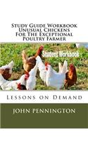 Study Guide Workbook Unusual Chickens For The Exceptional Poultry Farmer: Lessons on Demand(Lessons on Demand)
