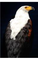 African Fish-Eagle (Haliaeetus Vocifer) Journal
