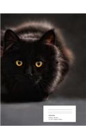 Cat Composition Notebook