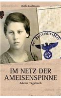 Im Netz der Ameisenspinne