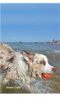 Border Collie: Pocket Notebook for Pets, Critters and All Kinds of Animal Lovers