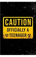 Caution - Officially a Teenager
