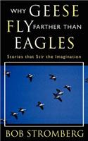 Why Geese Fly Farther Than Eagles