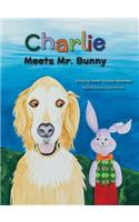 Charlie Meets Mr. Bunny
