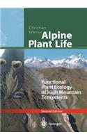Alpine Plant Life