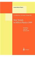 New Trends in Hera Physics 1999