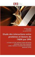 Etude Des Interactions Entre Prot�ines Et L�sions de l''adn Par Spri: (Omn.Univ.Europ.)