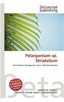 Pelargonium Sp. Striatellum: (English)