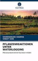 Pflanzenreaktionen Unter Waterlogging