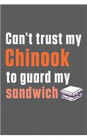 Can't trust my Chinook to guard my sandwich