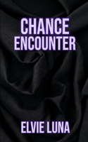 Chance Encounter