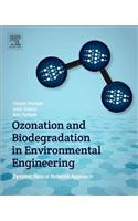 Ozonation and Biodegradation in Environmental Engineering: Dynamic Neural Network Approach