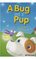 Harcourt School Publishers Trophies: Below Level Individual Reader Grade 1 a Bug and a Pup