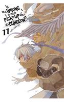 Is It Wrong to Try to Pick Up Girls in a Dungeon?, Vol. 11 (light novel)